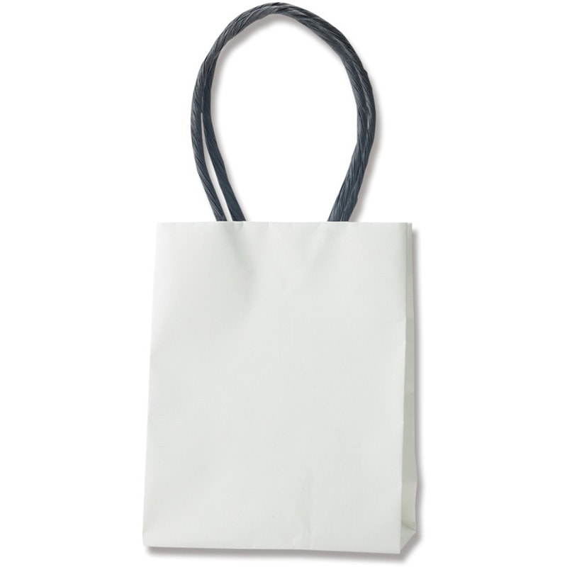 12-6．5 プチバッグ HEIKO 白無地柄 幅120mmマチ65mm高さ150mm 1パック