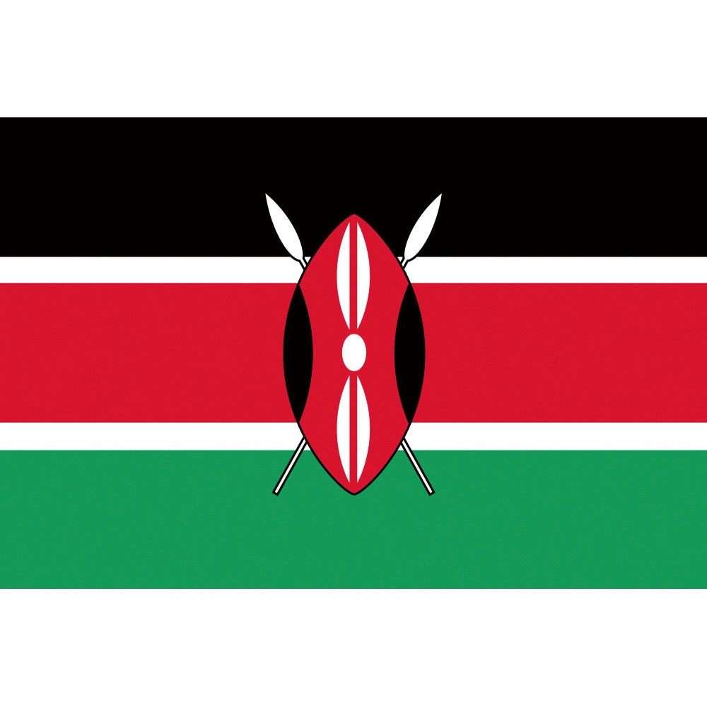 416261 国旗No．1 東京製旗 縦700mm横1050mm