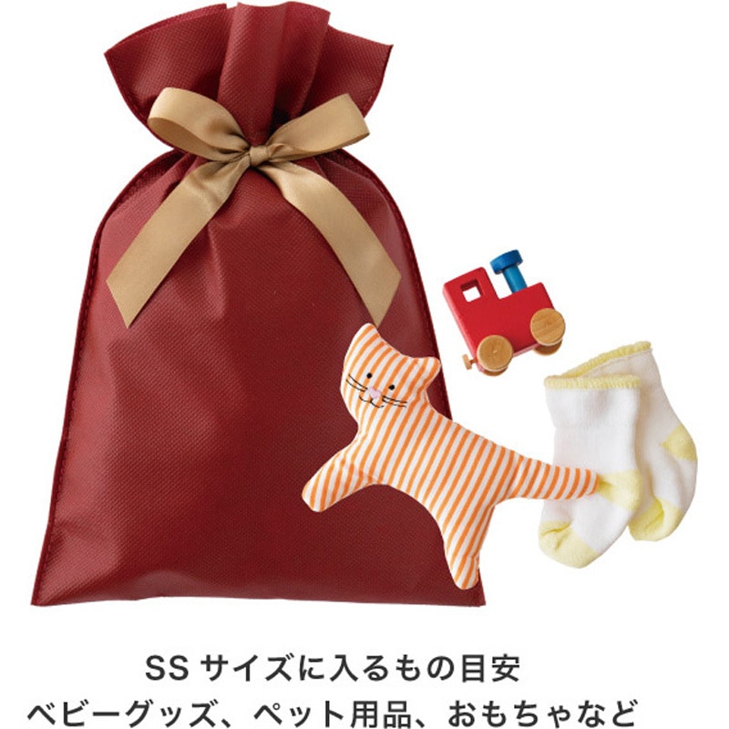 SFE-RBSS 不織布リボン付ギフトバッグ HEADS(ヘッズ) サイズSS 1