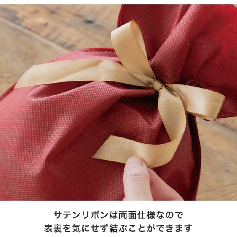 SFE-RBSS 不織布リボン付ギフトバッグ HEADS(ヘッズ) サイズSS 1