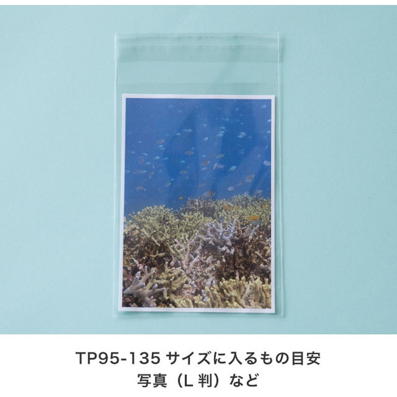 TP95-135 テープ付OPP袋 HEADS(ヘッズ) クリア色 100枚入 【通販