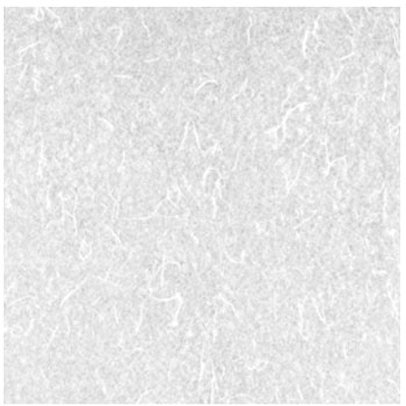 P-2 アクリワーロン 1枚 WARLON 【通販モノタロウ】