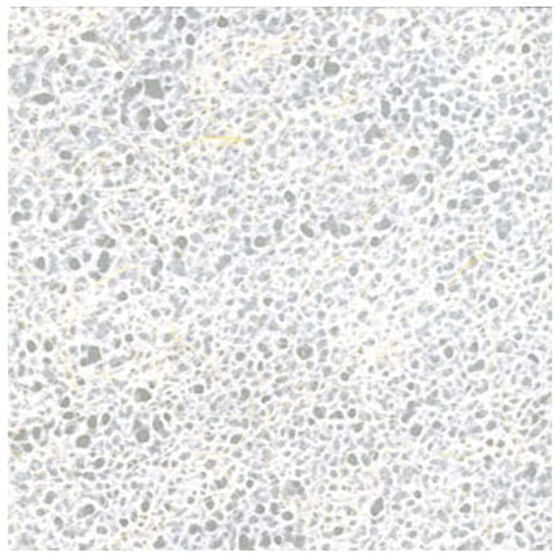 KV-104 ワーロンプレート 1枚 WARLON 【通販モノタロウ】