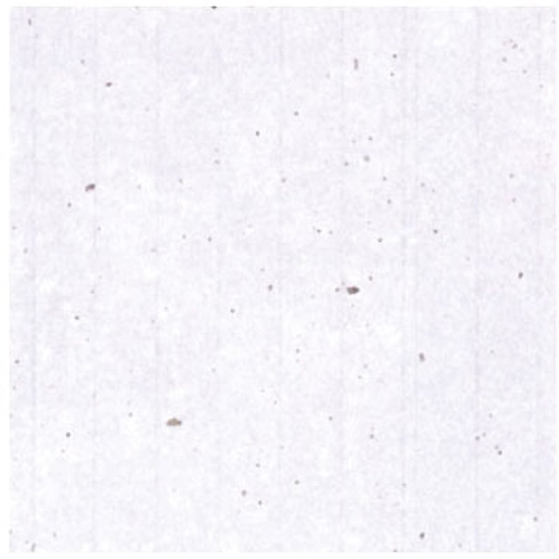 V-103 ワーロンプレート 1枚 WARLON 【通販モノタロウ】