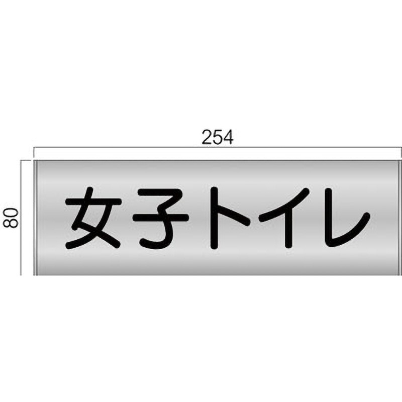 FTS81A ステンレスプレート FTSプレート正面型 フジタ[室名札・標識] 女子トイレ 幅254mm高さ80mm  FTS81A