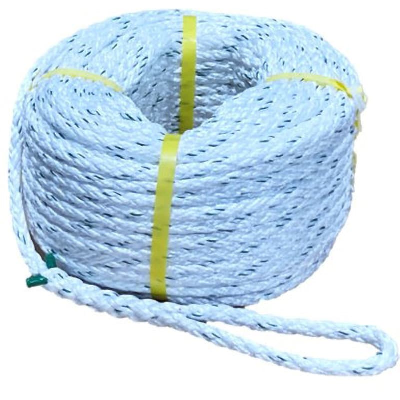 ポリエステルスパンロープ　青色　径１０ｍｍ　長さ１００メートル巻き - 1