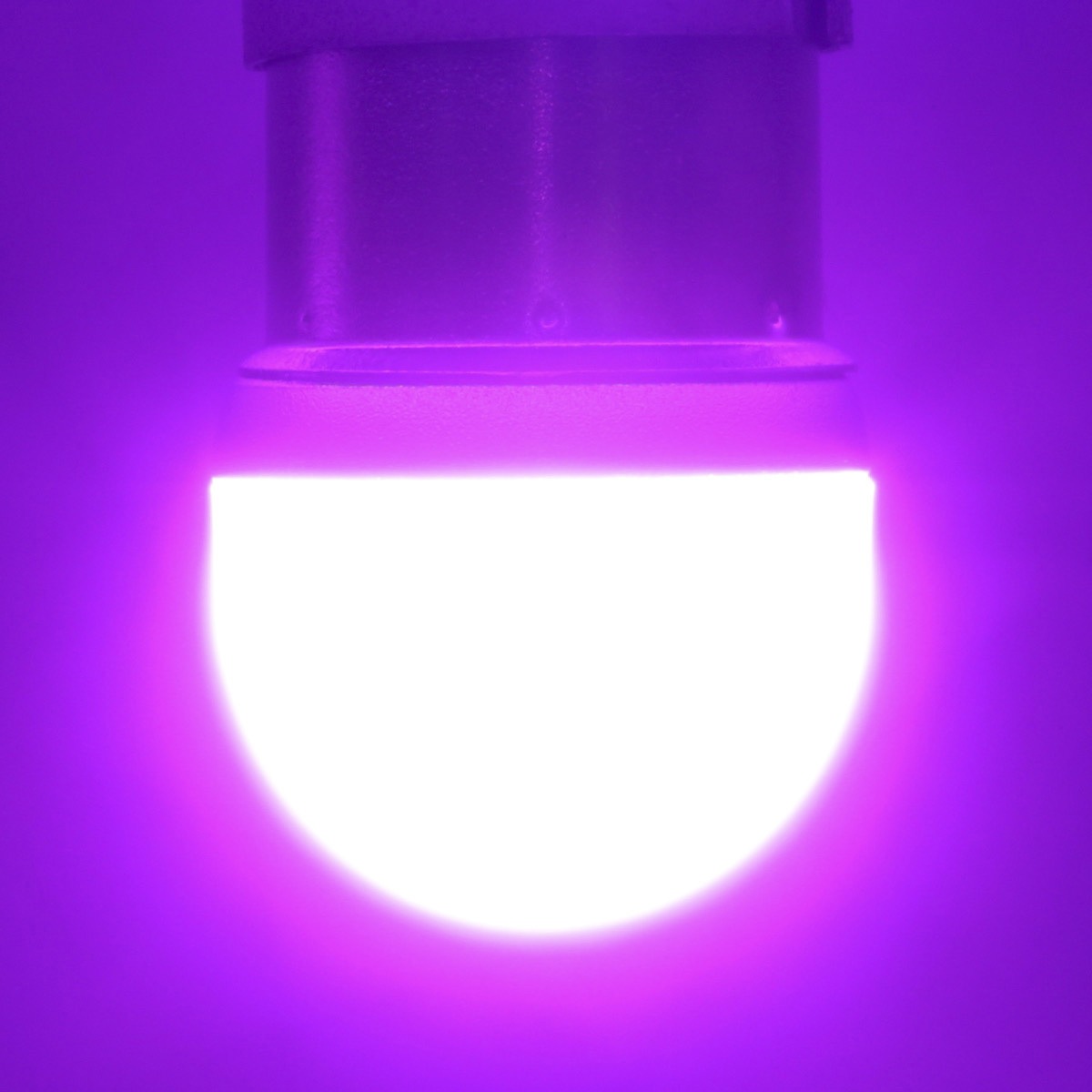 TAKE1 ルミナスルーセントバルブ バスマーカー用 s25 シングル BA15s 12v/24v兼用 竹村商会 1224V