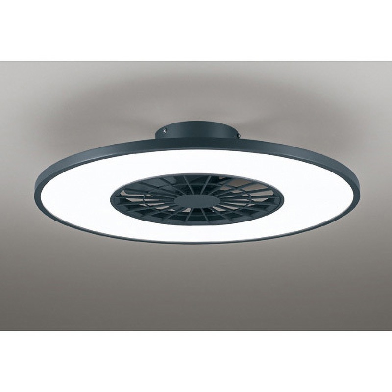 その他 oi OL291439BR LEDシーリングファン ODELIC(オーデリック) 電球色