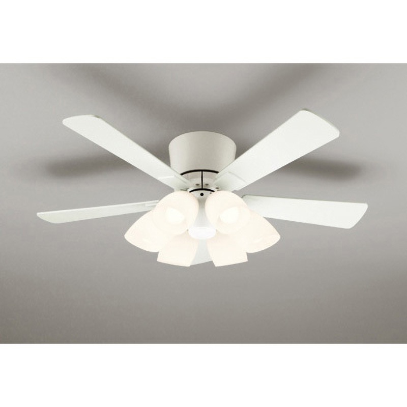 オーデリック シーリングファンライト リバーシブルタイプ WF547PR