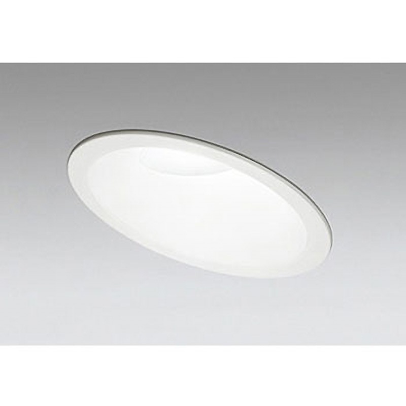 OD361253R 傾斜天井用LEDダウンライト ODELIC(オーデリック) 調光率1