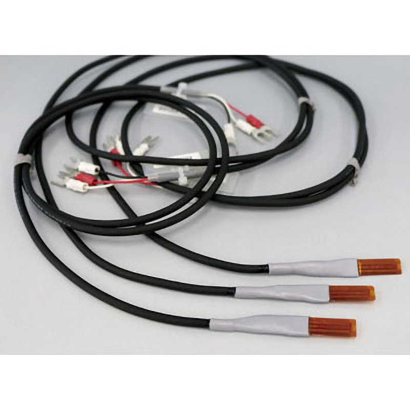 CF4V0820 フィルム型白金測温抵抗体 1本 坂口電熱 【通販モノタロウ】 7,648円