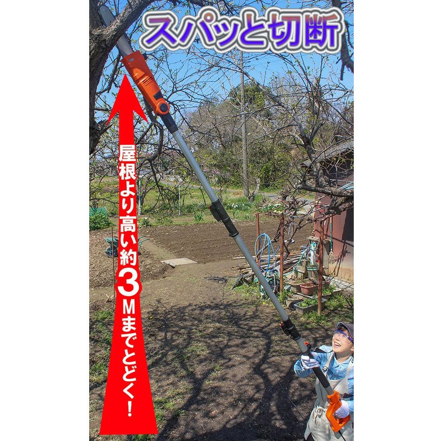 ESN25A-JP 高枝切り電動チェーンソーVmax 1個 YARD FORCE 【通販