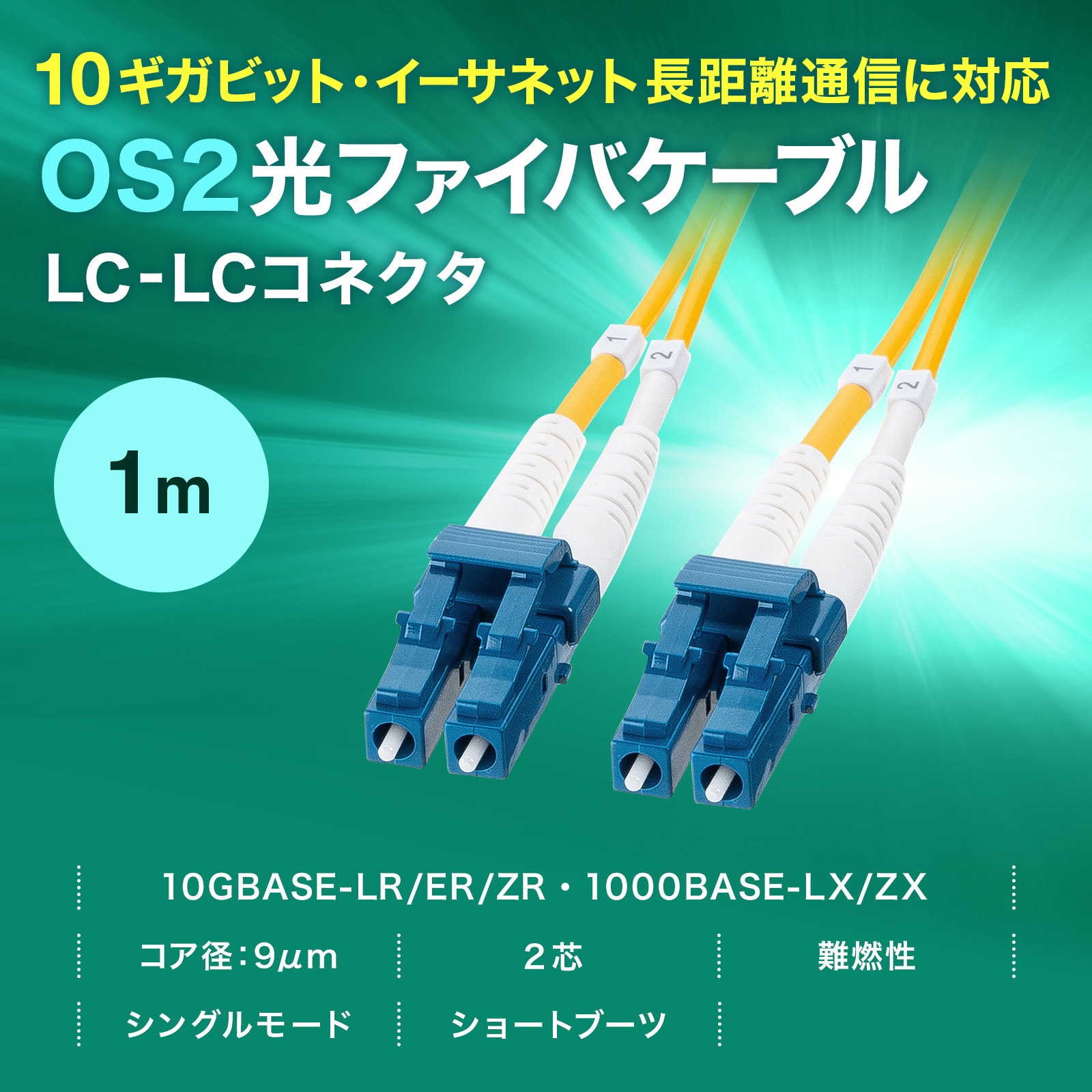 オーダーページ】 mオーダーページ ちー様オーダーページ Z/X ゼクス