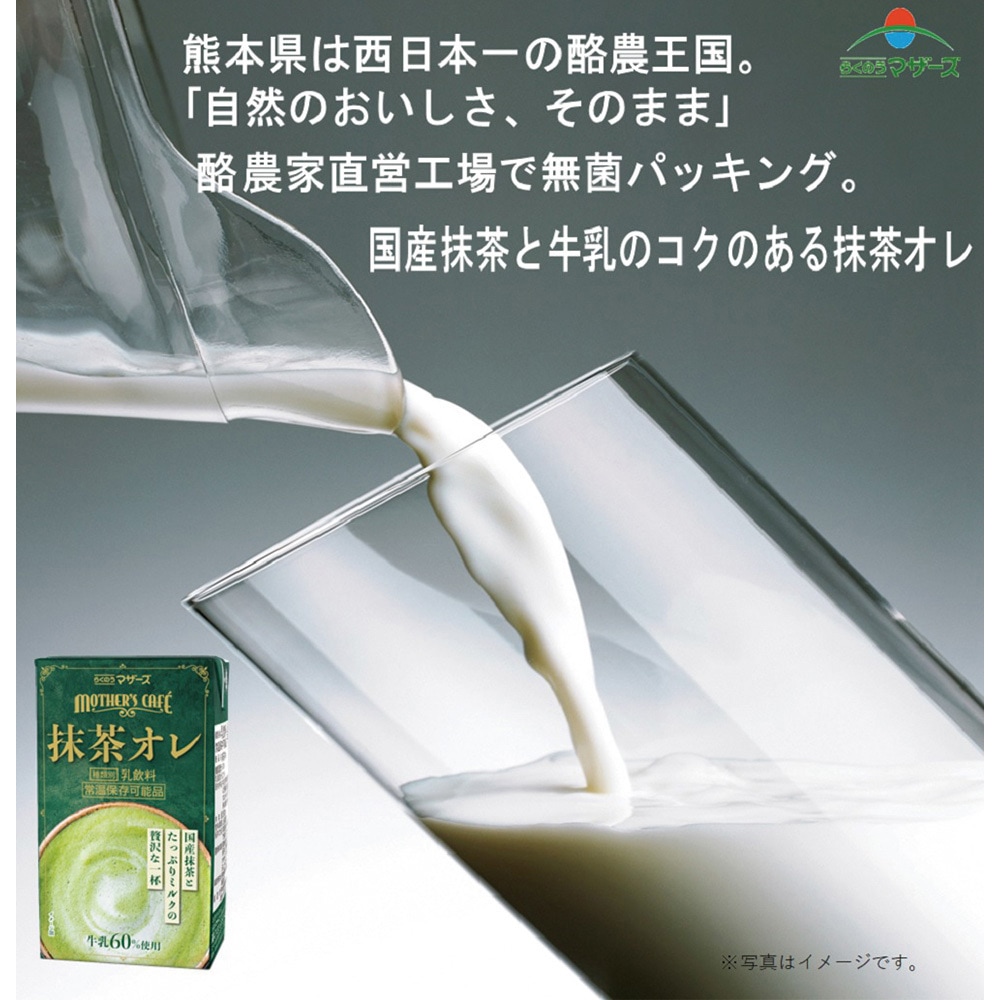 抹茶オレ 1セット(250mL×12本) らくのうマザーズ 【通販モノタロウ】
