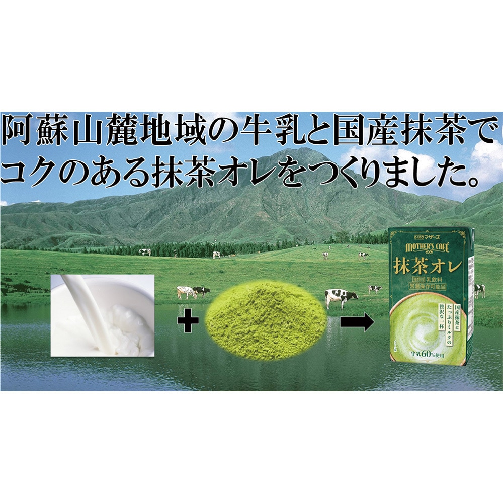 抹茶オレ 1セット(250mL×12本) らくのうマザーズ 【通販モノタロウ】