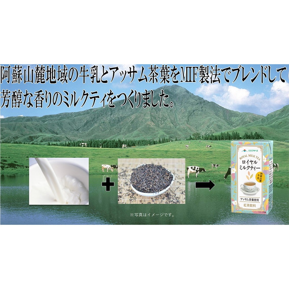 ロイヤルミルクティ 1セット(250mL×12本) らくのうマザーズ 【通販