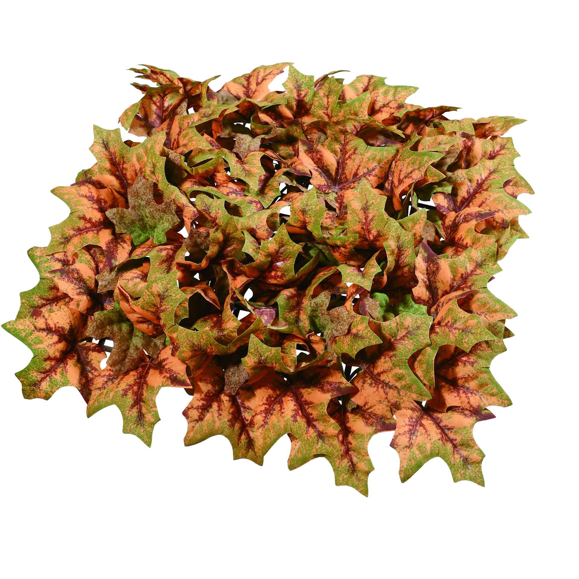 リーフラティス オータムリーフ - 植物/観葉植物