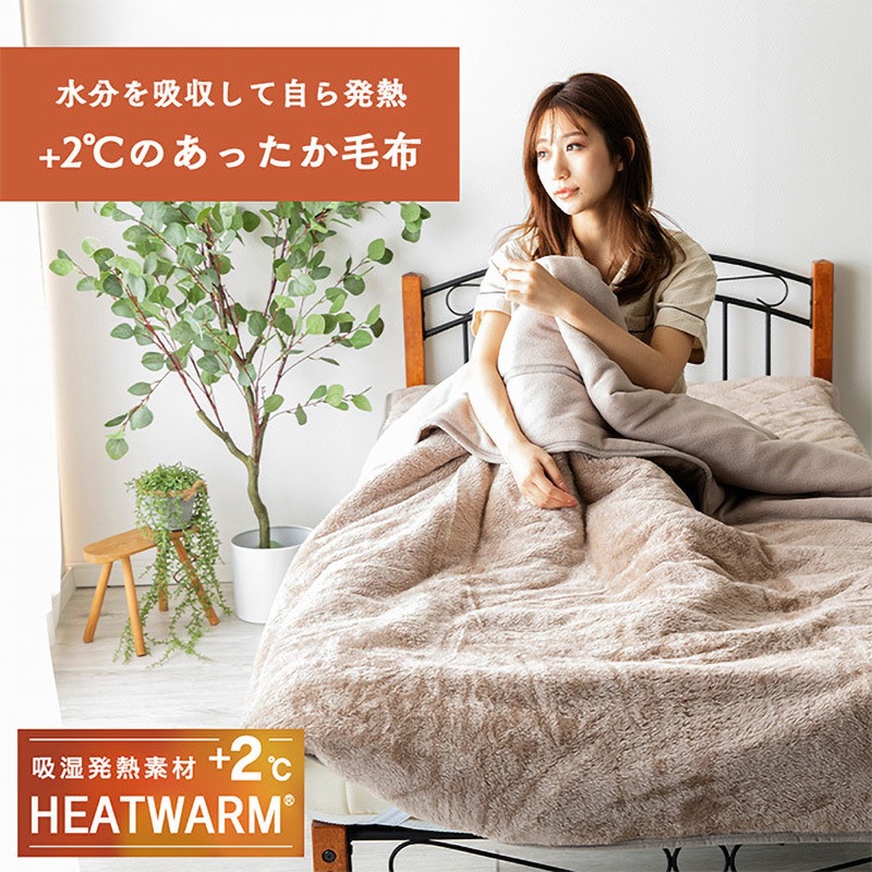 20200308(IV) 吸湿発熱素材 フランネル毛布 1枚 ナイスデイ 【通販