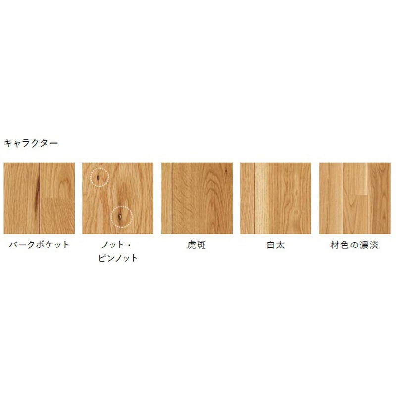 HVB20005MPS ライブナチュラルプラス for Dog 朝日ウッドテック 幅