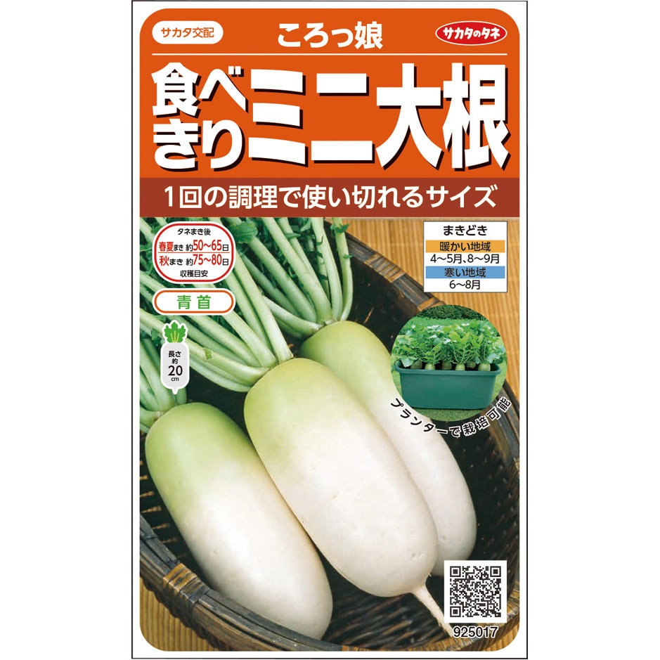 ミニダイコン ころっ娘 サカタのタネ 大根 - 【通販モノタロウ】