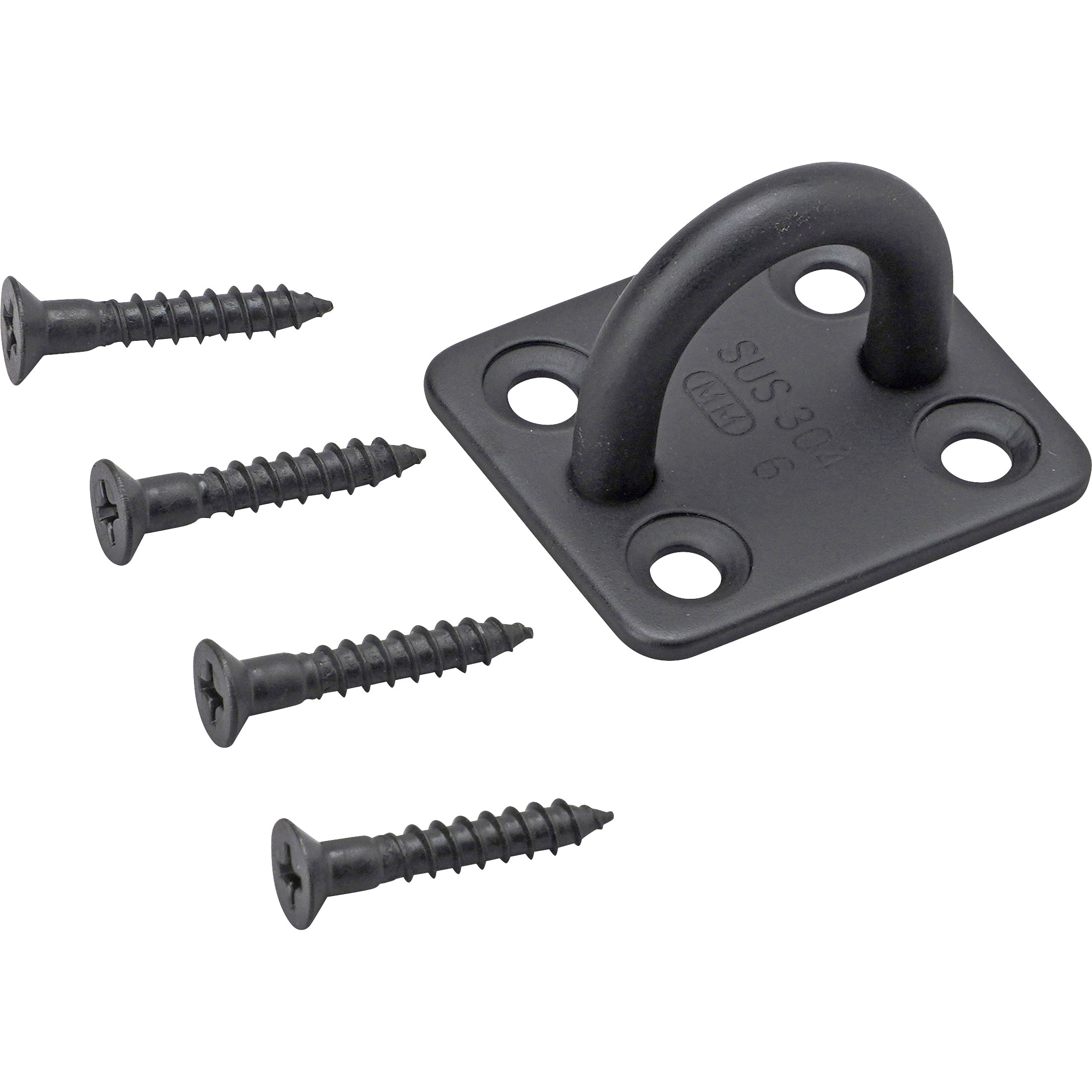 IP-6B ブラックアイプレート(黒ツヤ消し セラミックコート) AIOULE