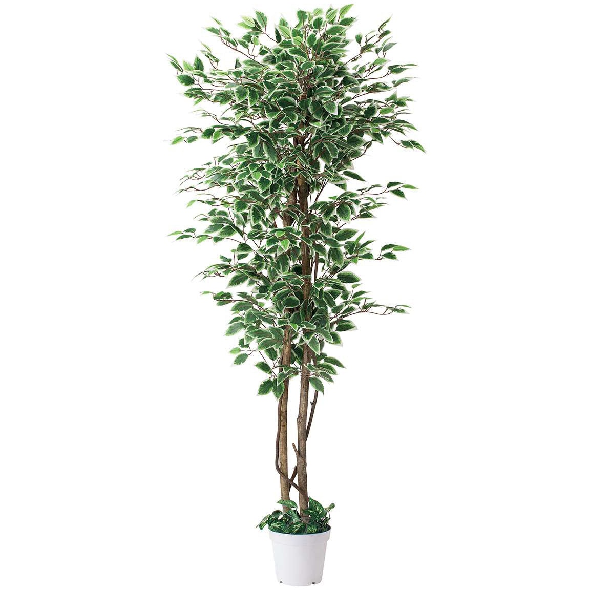 8724-4306 立ち木(人工樹木)フェイクグリーン 1台 ストア