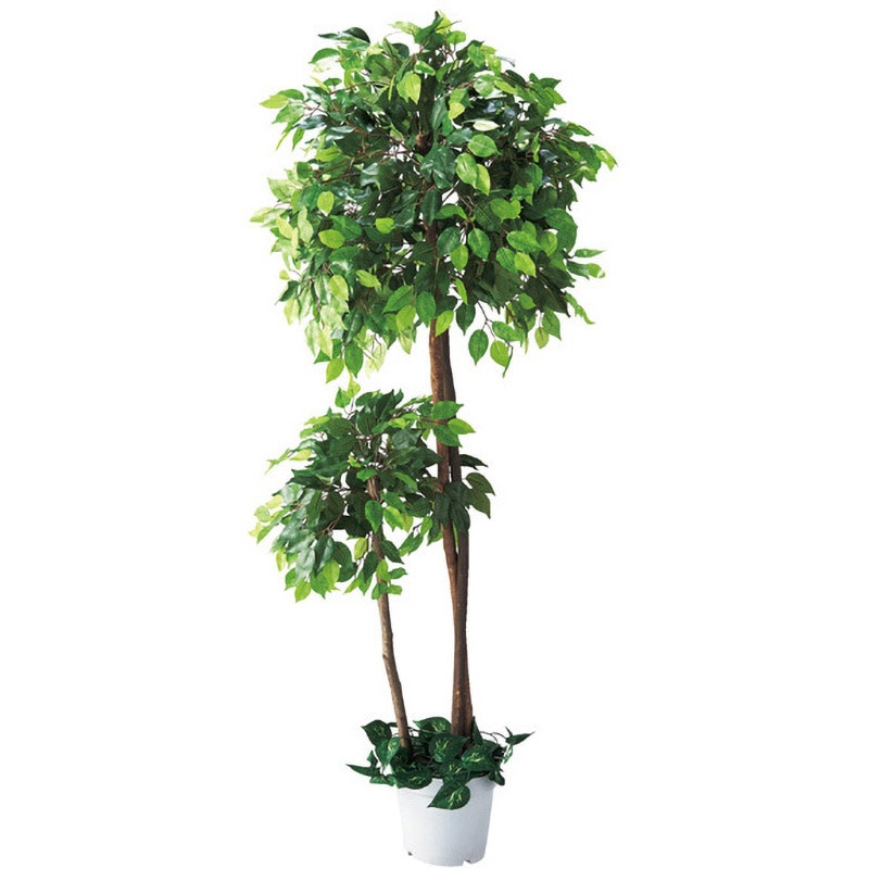 8724-4724 ベンジャミンダブル(人工樹木)フェイクグリーン 1台 ストア・エキスプレス 【通販モノタロウ】