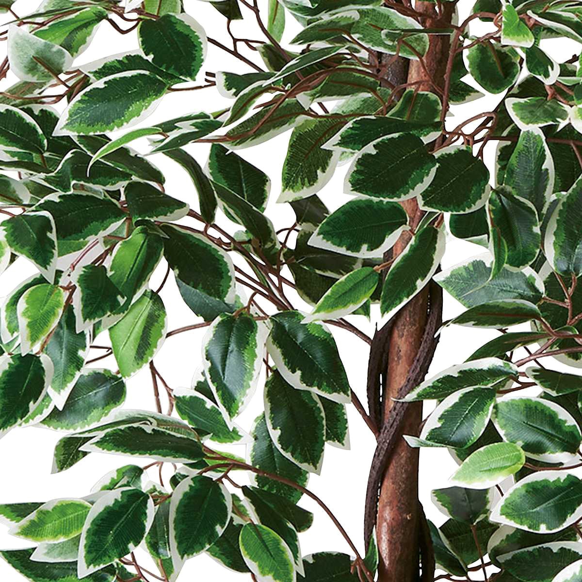 （まとめ）東北花材 人工樹木 グレイシアアイビー 90853〔×5セット〕