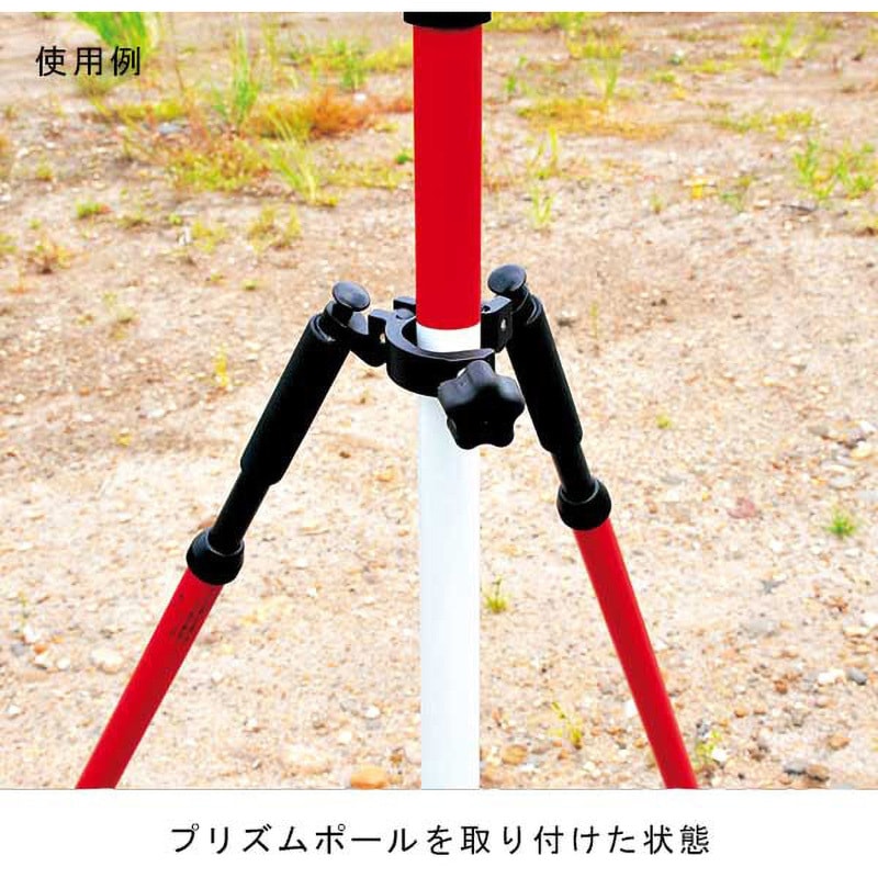 ハイビスカス Amazon.co.jp: 母の日ギフト ハイビスカス アドニスイエロー