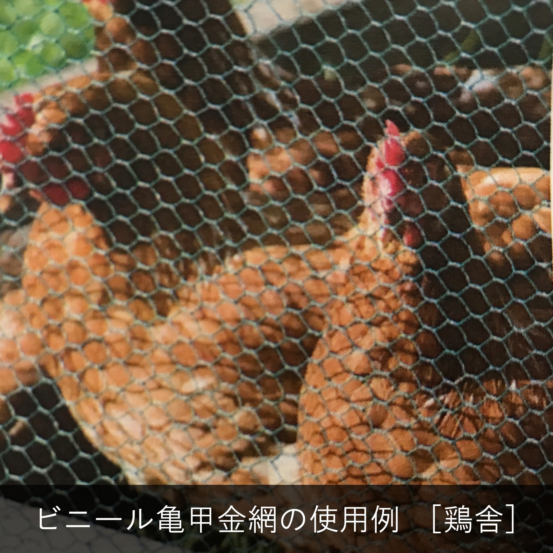 10160285 ビニール亀甲金網 幅広 ダイドーハント(旧:大同製鋲所) 厚さ
