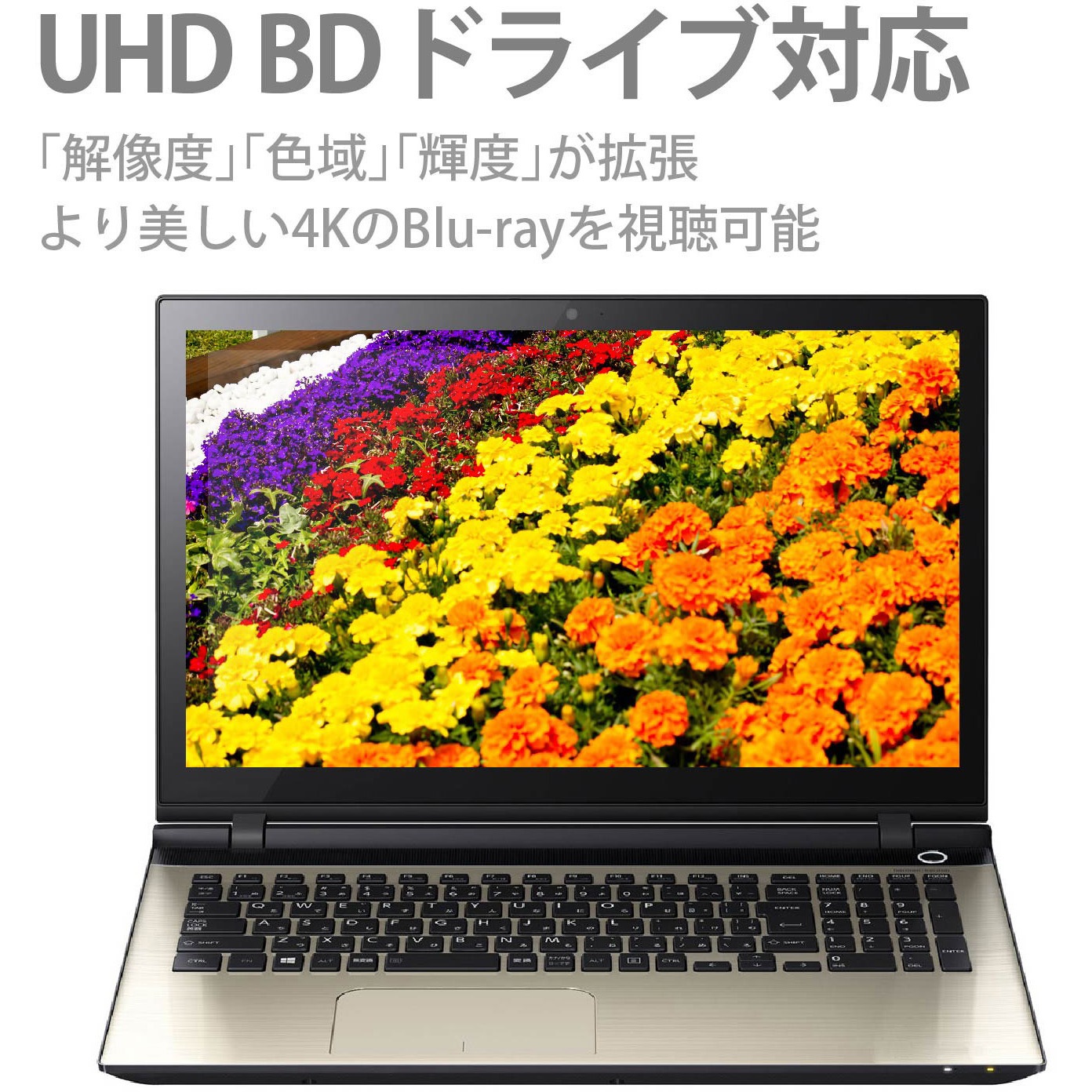 LBD-PVA6U3VGY UHD BD搭載 ポータブルBDドライブ 1個 ロジテック