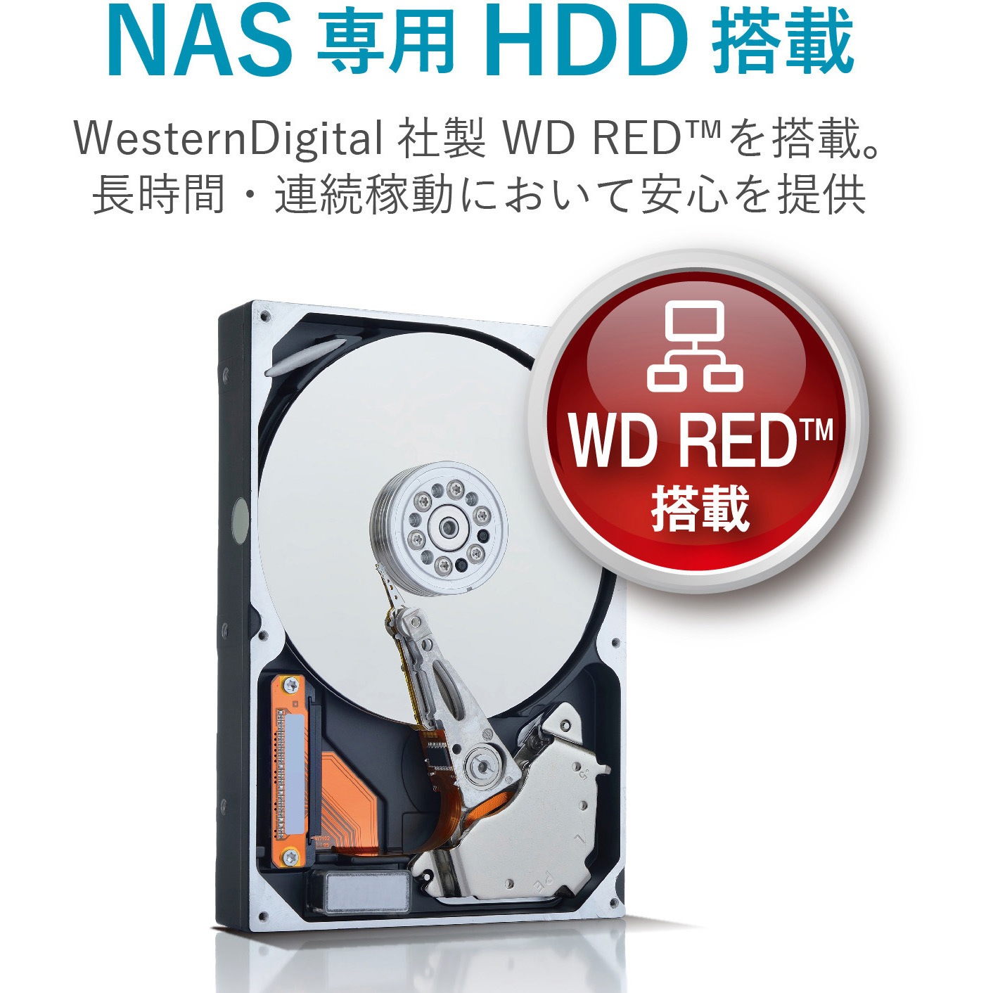 【誠今江】QNAP TS-231P同等品 エレコム NSB-5A2T2BL 1ベイLinux搭載NAS2TB - NSB-5A2T1BL