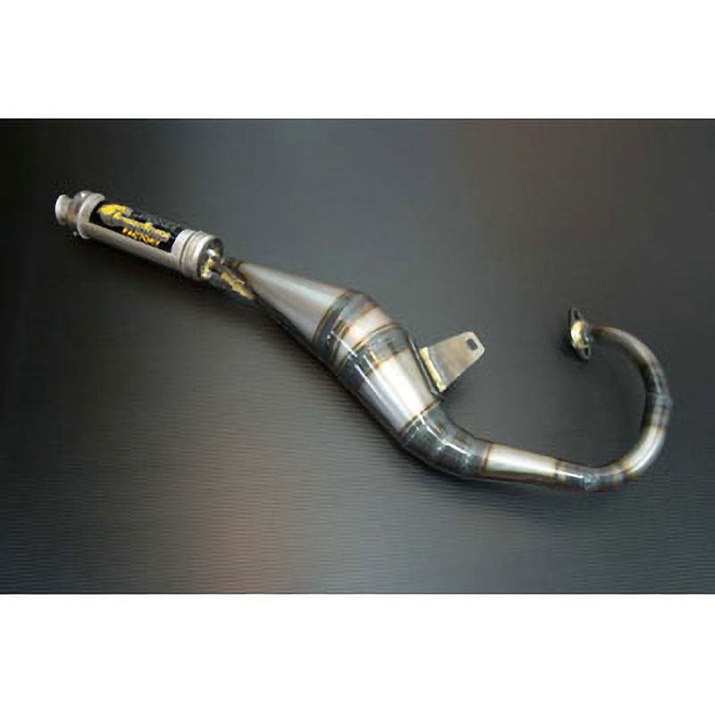 A101 パラライザー3 CHAMELEON FACTORY 主な適合車種スーパータクト/DJ-1R