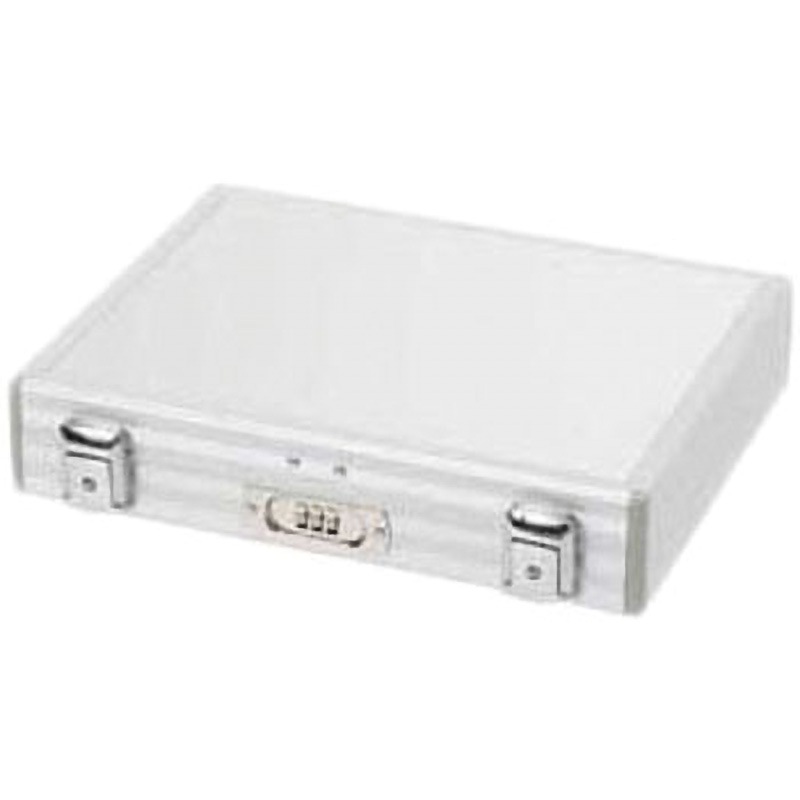 0526-100NF ALOOK-Light アルミーファイブエンジニアリング 外寸(幅×奥行×高さ)305×62×237mm  0526-100NF