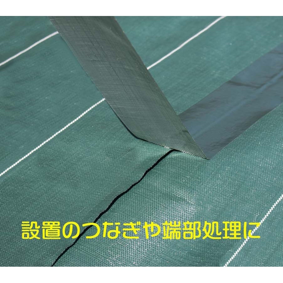 防草シート用テープ イノベックス(旧:ダイオ化成) 緑色 長さ10m 【通販