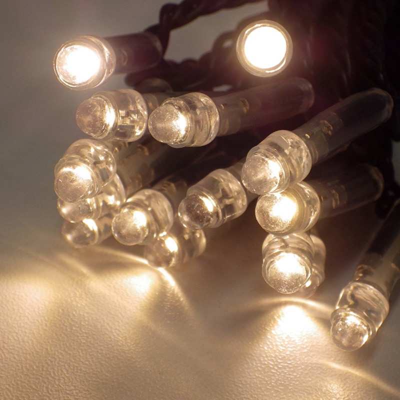 NSBD1-100-100P/1 LEDイルミネーション トライト シャンパンゴールド