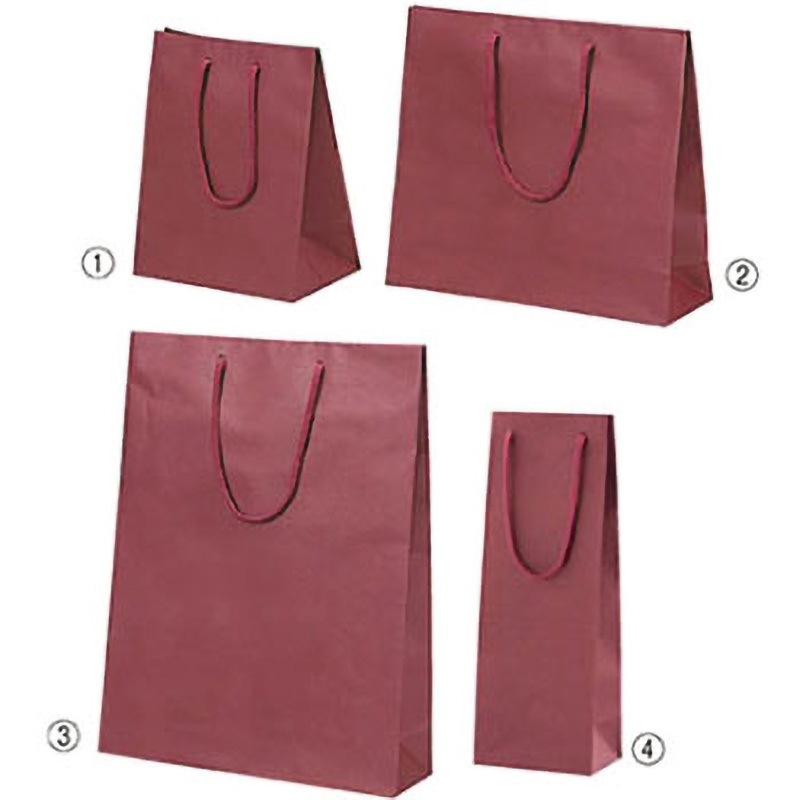 61-313-7-5 カラー手提げ紙袋 エンジ アズワン 20×12×25cm 厚みサイズ 1セット(100枚) 61-313-7-5