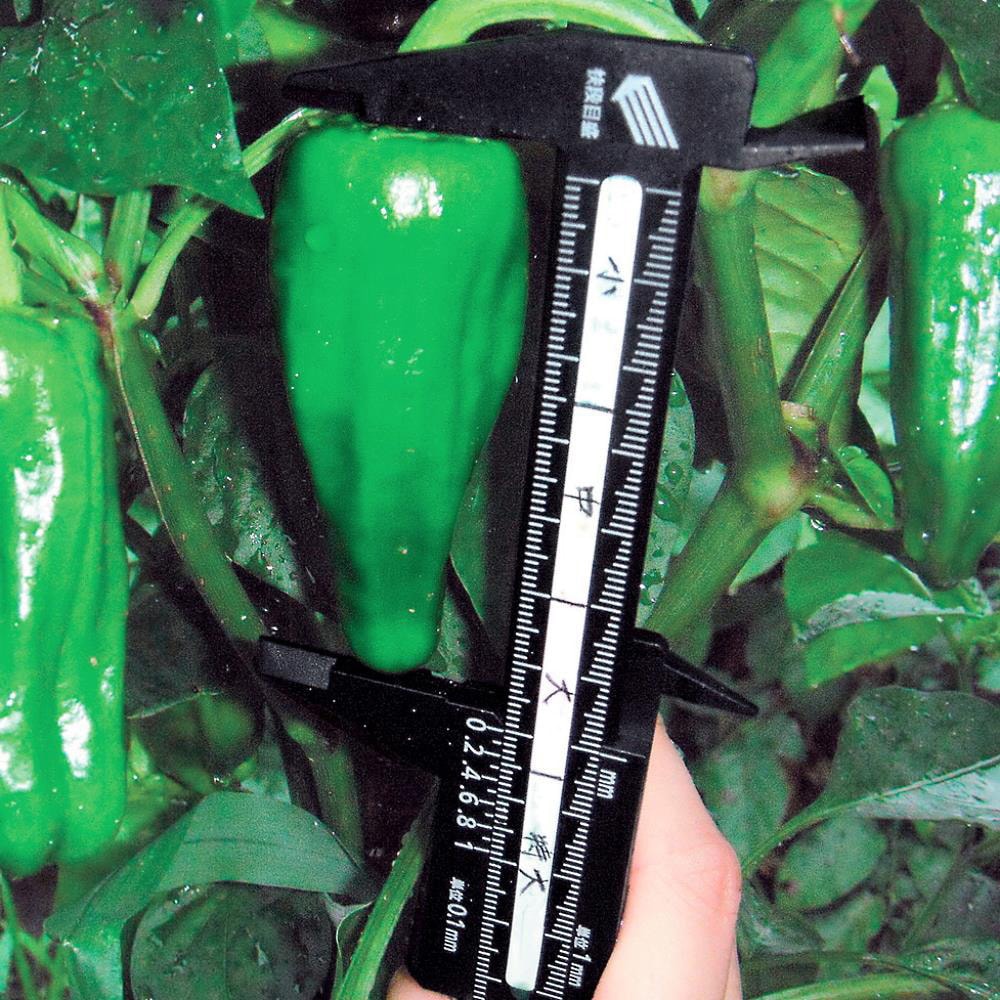 PC-100KD プラスチックノギス快段目盛タイプ SK(新潟精機) 測定範囲0