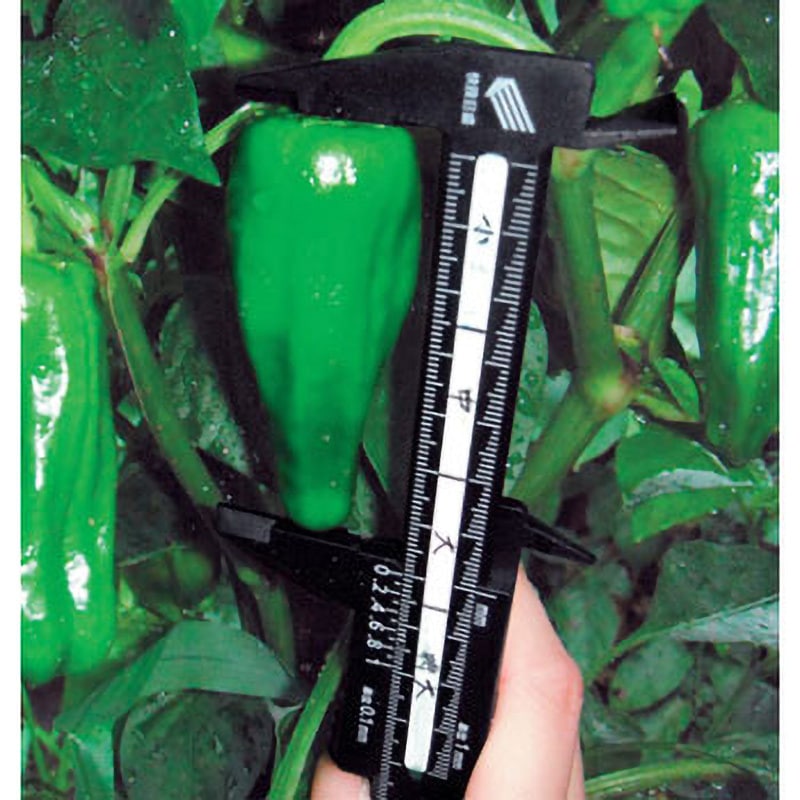 PC-100KD プラスチックノギス快段目盛タイプ SK(新潟精機) 測定範囲0