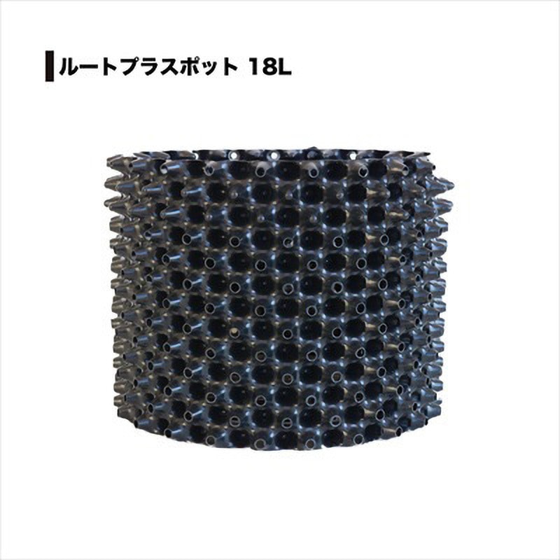 ＫＫＢさん専用 ポポラス　ルートプラスポット2枚追加　/ 674 suke-25-145.jpg