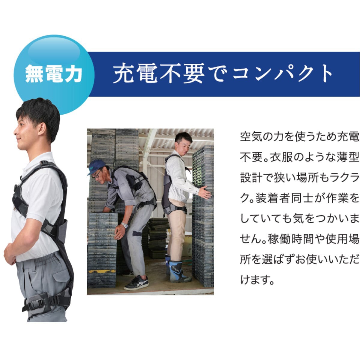 001-0152 DARWING Hakobelude (ハコベルデ) ダイヤ工業 サイズL