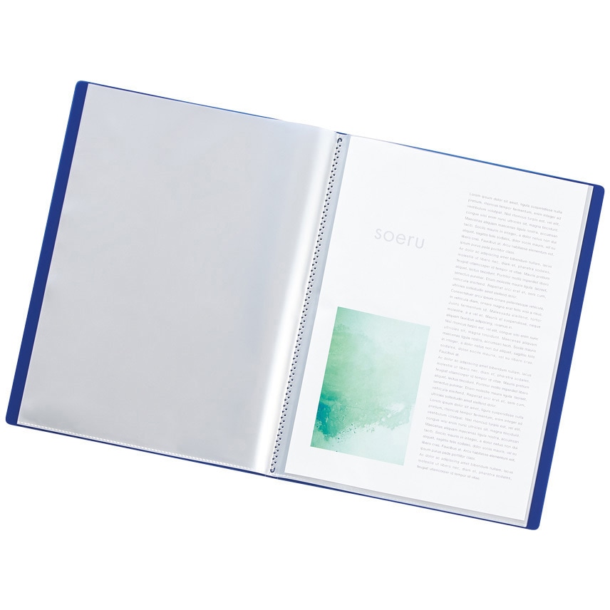 (まとめ)LIHITLAB クリヤーブック20P N8101-24 黒 (×30セット) まとめ) クリヤーブック20P N-8101-11 青 ×10セット まとめ