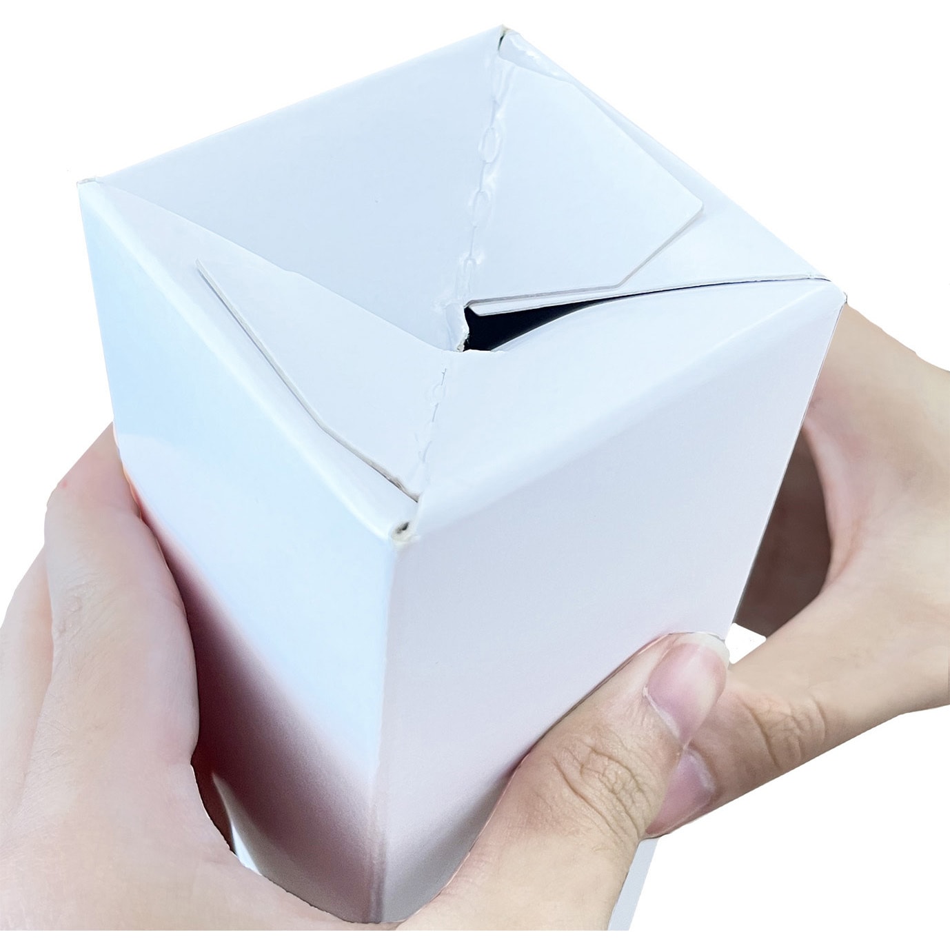 KK-620 ポスターケース・カレンダーケース 10枚入 今村紙工 適合サイズ