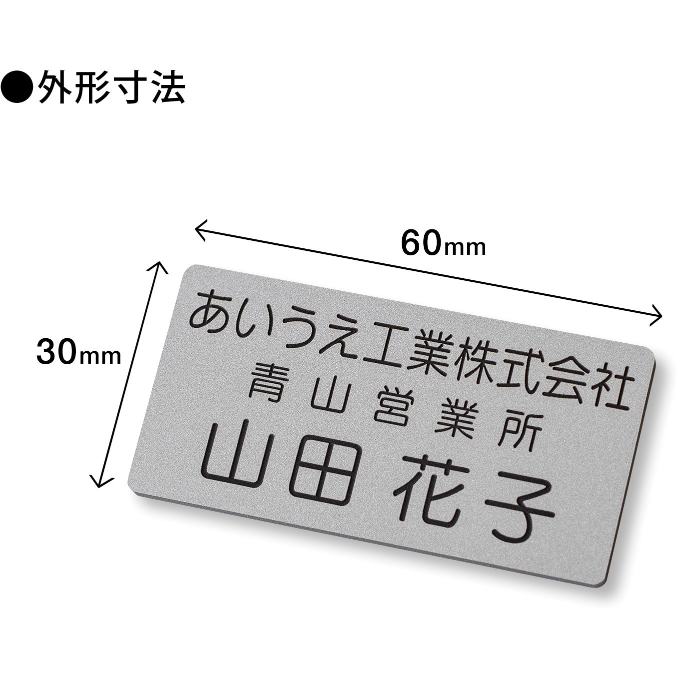 MN31006 【名入れ】名札 ネームプレート 彫刻タイプ PLUS(プラス)[文具
