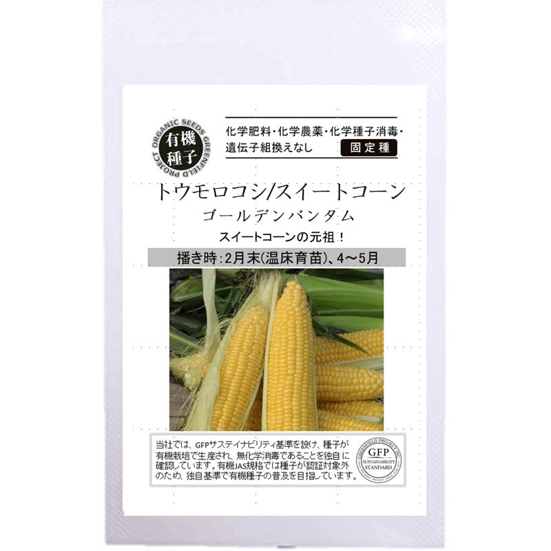 タネ】トウモロコシ / スイートコーン 〈ゴールデンバンタム〉 1セット