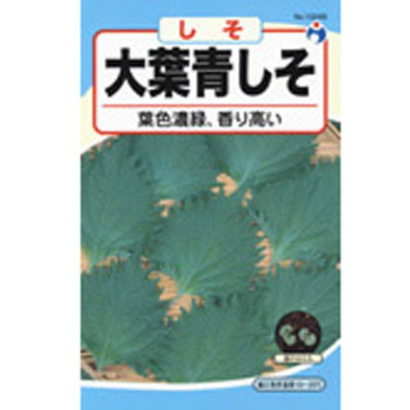 10249 【タネ】大葉青しそ 1袋(6mL) ウタネ 【通販モノタロウ】