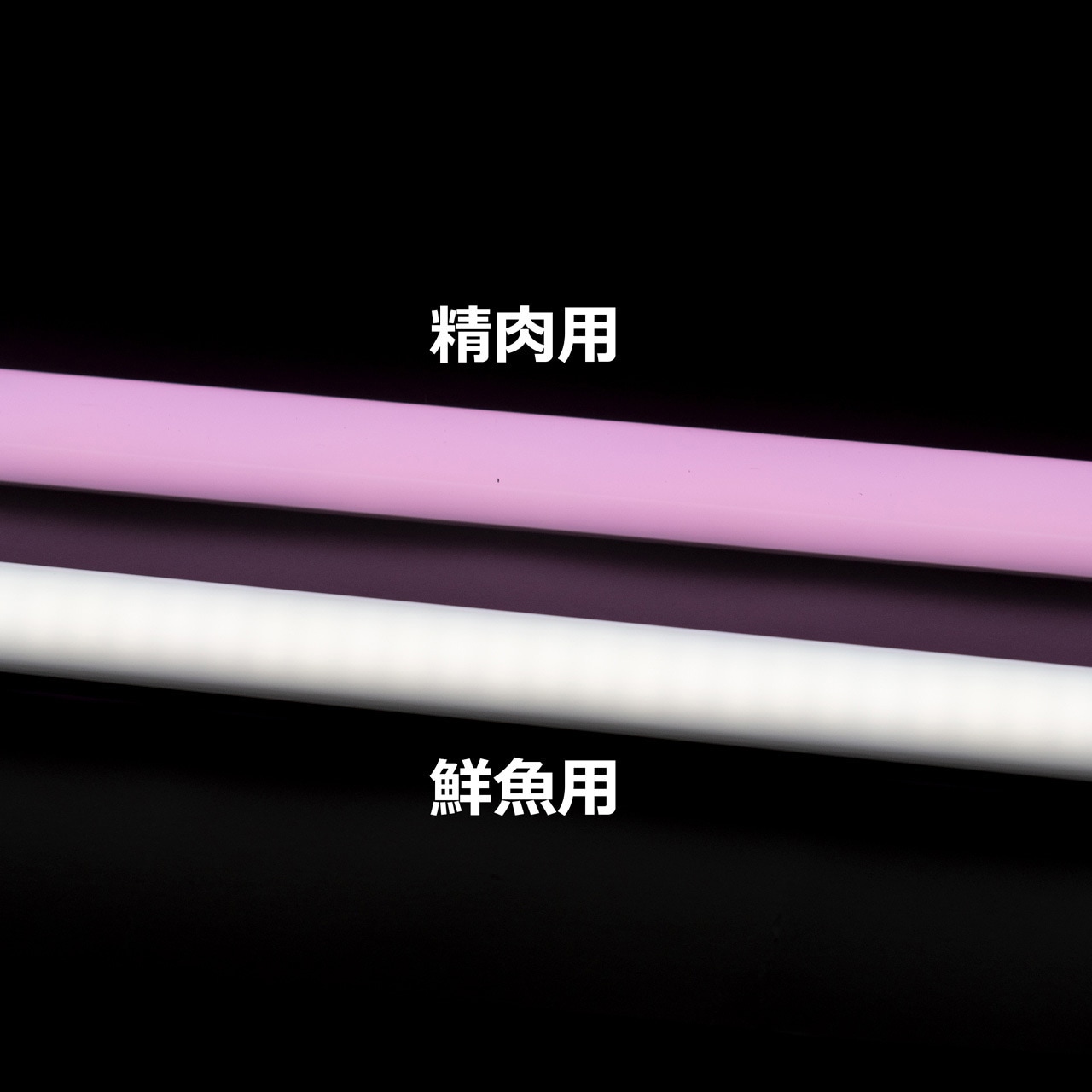 生鮮：鮮魚用 直管互換LEDランプ 光商事 食品展示用ランプ 【通販