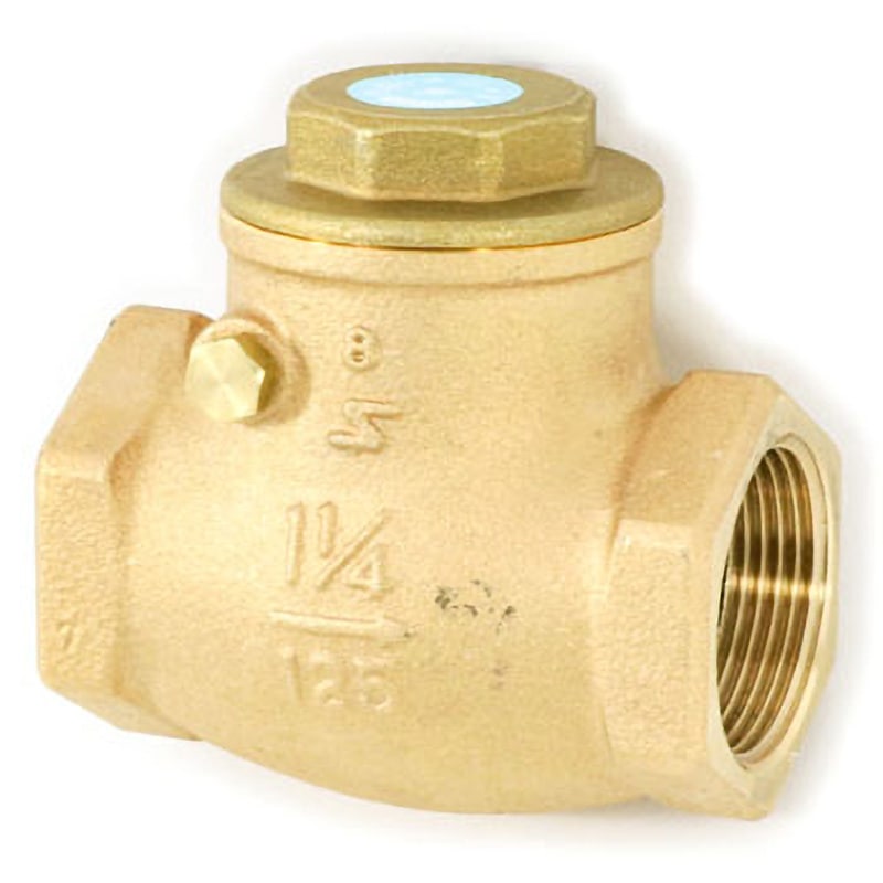 RN-32A 125型 キーパロイ製スイングチャッキバルブ(ねじ込み形) KITZ