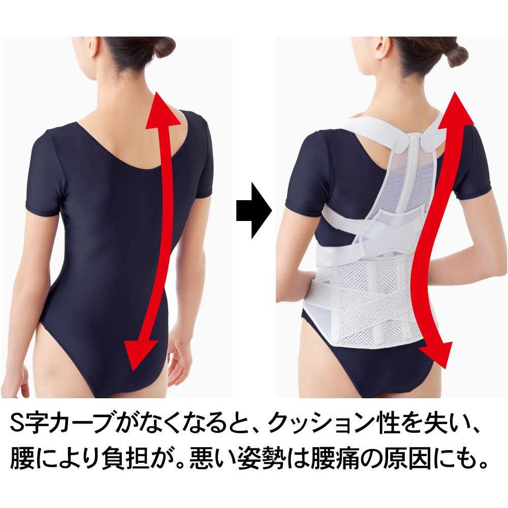 Amazon | アルファックス 姿勢サポーター 日本製 お医者さんの腰