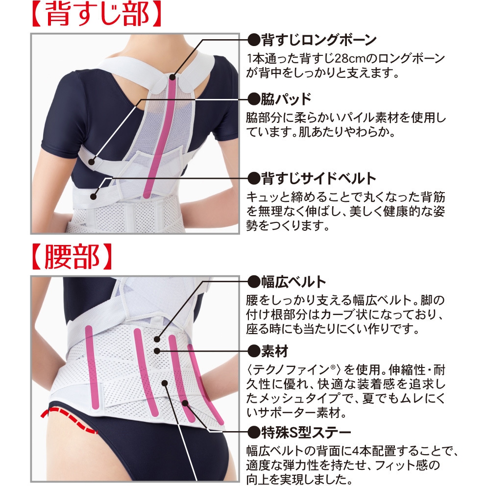 AP-203216 お医者さんの(R)腰から正す姿勢ベルト アルファックス